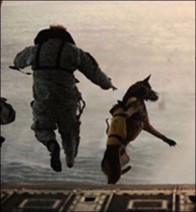 militarydefenseattorney13.56608