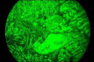 militarydefenseattorneys_4521
