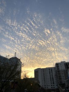 Best Court Martial Lawyers Navy 1 Gonzalez &Amp; Waddington – Elite Court-Martial &Amp; Military Defense Attorneys